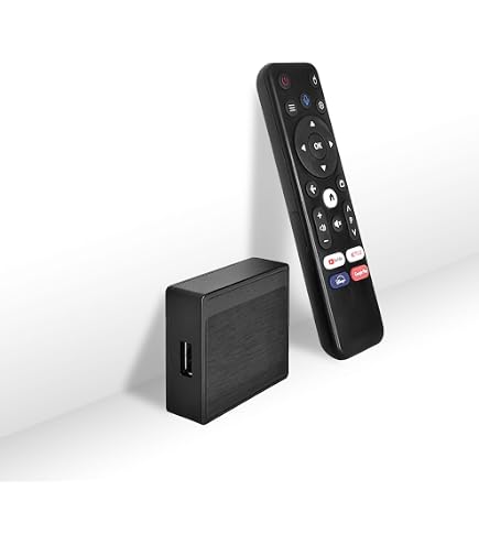 Amazon.com: BOXPUT Lemon TV L2 Android 12.0 Smart Box, Allwinner